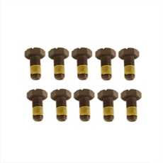 Differential Ring Gear Bolt Set